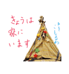 イタグレ 白玉もちこ（個別スタンプ：22）