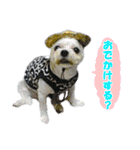 ごん太のきもち（個別スタンプ：2）