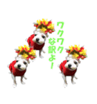 ごん太のきもち（個別スタンプ：5）