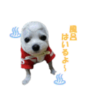 ごん太のきもち（個別スタンプ：10）