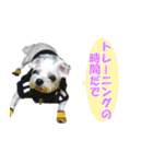 ごん太のきもち（個別スタンプ：11）