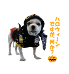 ごん太のきもち（個別スタンプ：13）