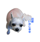 ごん太のきもち（個別スタンプ：15）