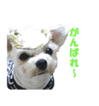 ごん太のきもち（個別スタンプ：18）