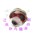 ごん太のきもち（個別スタンプ：20）