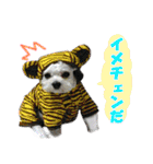 ごん太のきもち（個別スタンプ：28）