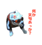 ごん太のきもち（個別スタンプ：32）
