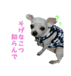ごん太のきもち（個別スタンプ：34）