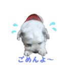 ごん太のきもち（個別スタンプ：35）