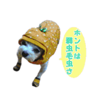 ごん太のきもち（個別スタンプ：38）