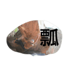 外岩班   a（個別スタンプ：26）