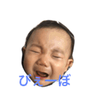 れいーぼ君（個別スタンプ：1）