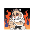 Judo tiger（個別スタンプ：12）