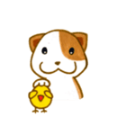 Latte and Cappuccino（個別スタンプ：16）