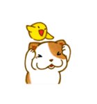 Latte and Cappuccino（個別スタンプ：18）