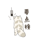 カンパチ船長 1（個別スタンプ：16）