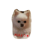 モコラブ（個別スタンプ：1）
