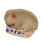 モコラブ（個別スタンプ：2）