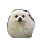 モコラブ（個別スタンプ：8）
