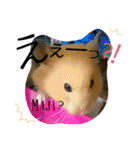 キンクマハムスターのkimochiすたんぷ3（個別スタンプ：6）