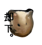 キンクマハムスターのkimochiすたんぷ3（個別スタンプ：9）