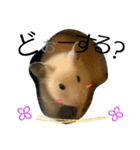キンクマハムスターのkimochiすたんぷ3（個別スタンプ：10）