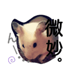 キンクマハムスターのkimochiすたんぷ3（個別スタンプ：11）