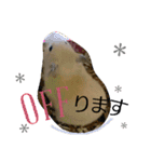 キンクマハムスターのkimochiすたんぷ3（個別スタンプ：13）
