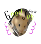 キンクマハムスターのkimochiすたんぷ3（個別スタンプ：14）