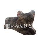 じゅーーーん（個別スタンプ：3）