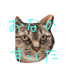 じゅーーーん（個別スタンプ：7）