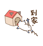 かわいい小動物-黑白貓咪篇（個別スタンプ：21）