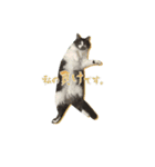 わたしの猫ダンテのスタンプ（個別スタンプ：2）