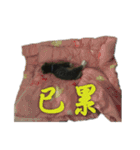 Cat-Q（個別スタンプ：14）