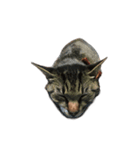くつしたねこのりんたろう（個別スタンプ：3）