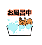 あいさん専用スタンプ（個別スタンプ：40）