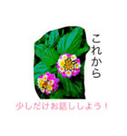 おしべとめしべ（個別スタンプ：1）