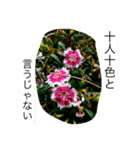 おしべとめしべ（個別スタンプ：6）