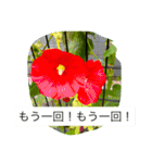 おしべとめしべ（個別スタンプ：7）