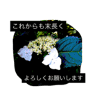 おしべとめしべ（個別スタンプ：16）
