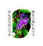 おしべとめしべ（個別スタンプ：24）