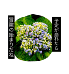 おしべとめしべ（個別スタンプ：25）