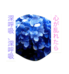 おしべとめしべ（個別スタンプ：28）
