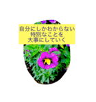 おしべとめしべ（個別スタンプ：30）