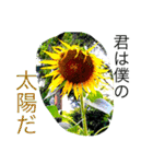 おしべとめしべ（個別スタンプ：32）
