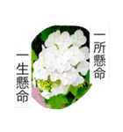おしべとめしべ（個別スタンプ：33）