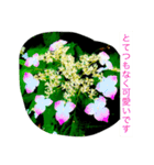おしべとめしべ（個別スタンプ：34）