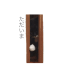 きろくのスタンプ（個別スタンプ：11）