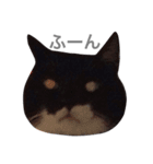 きろくのスタンプ（個別スタンプ：16）