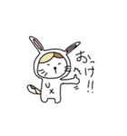 ウサギになりたいネコ（個別スタンプ：3）